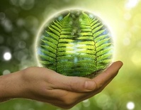 © Shutterstock © Shutterstock