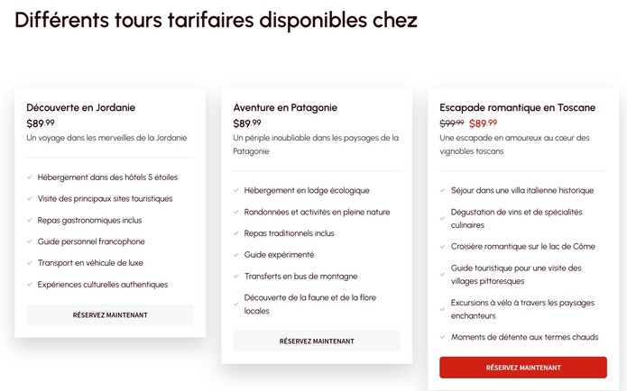 Un faux site d’un TO français hébergé en Russie - Capture écran