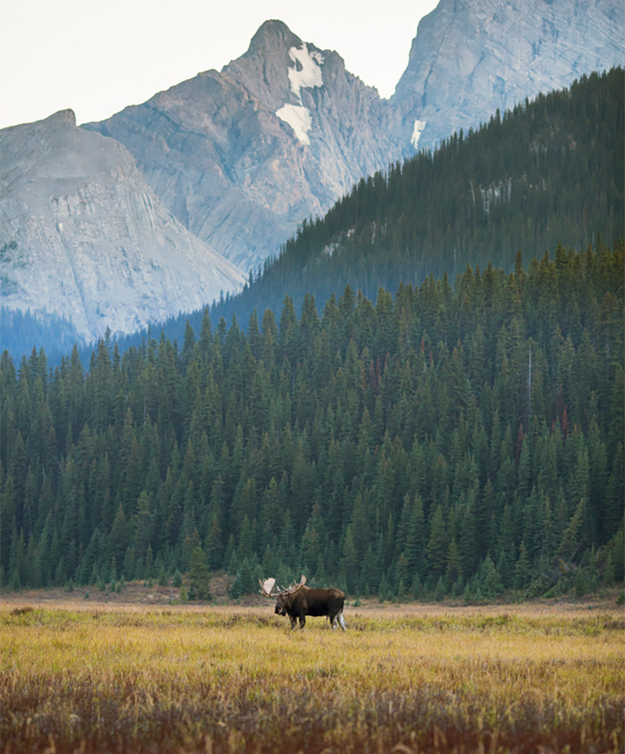 © Travel Alberta – Kananaskis © Travel Alberta – Kananaskis