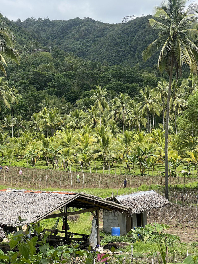 Negros © Audrey Marc Negros © Audrey Marc