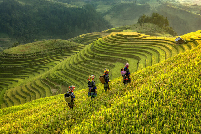 Les paysages du nord vietnamien offrent une expérience hors du temps, idéale pour les voyageurs en quête d’authenticité - © Easia Travel