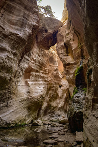 © Pixabay © Pixabay