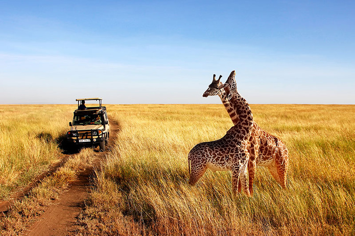 Tanzanie © Shutterstock Tanzanie © Shutterstock