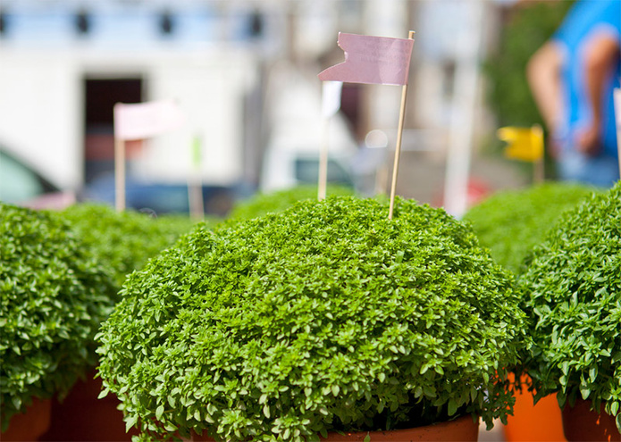 © Getty Images © Getty Images