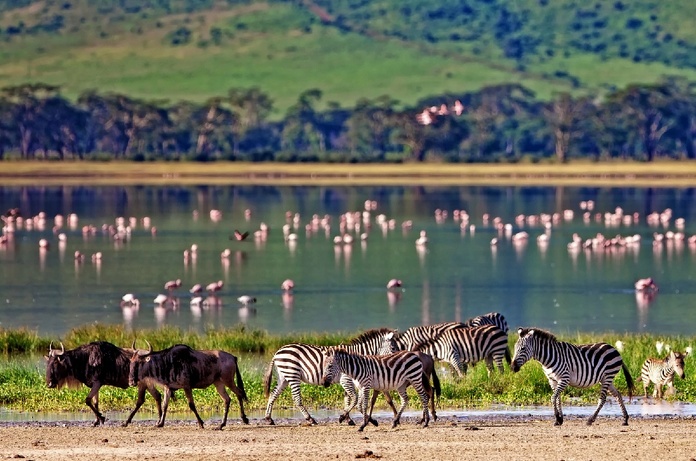 Liste noire Tanzanie : les compagnies étrangères en renfort ? - Depositphotos.com Auteur palko72