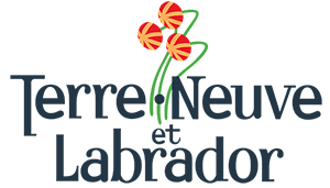 Webinaires canadiens : découvrez le Canada atlantique avec la province de Terre-Neuve-et-Labrador Webinaires canadiens : découvrez le Canada atlantique avec la province de Terre-Neuve-et-Labrador
