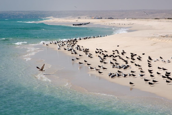 A Oman, des plages de sable clair et des eaux cristallines ( ©Sultanat d'Oman)