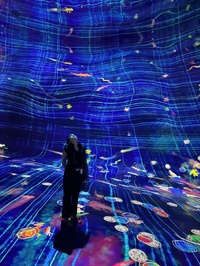 Le teamLab Phenomena, nouvel espace culturel immersif de 17 000 m², où les œuvres sont interactives - Photo : Maëlle Fontaine
