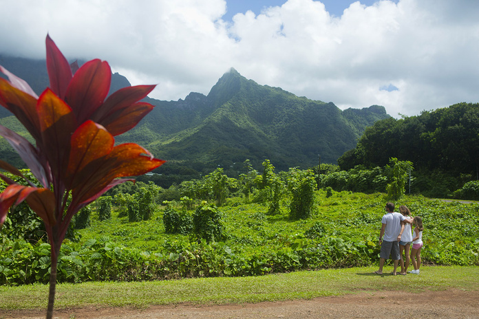 © Tahiti Tourisme © Tahiti Tourisme