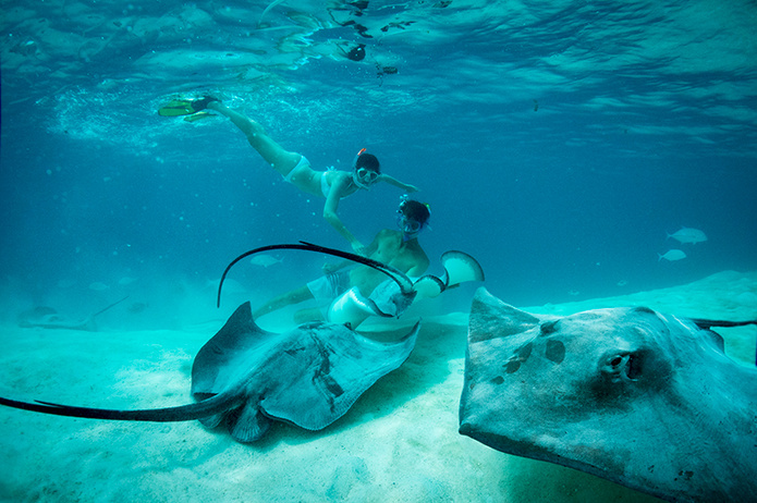 © David Kirkland © David Kirkland