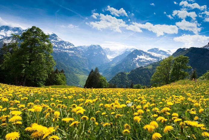 Suisse : Trip-It-Up acquiert SuissePiste - Depositphotos.com  Auteur peterwey