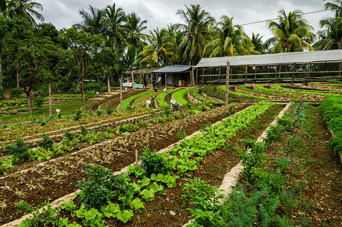 © Caraïbes Autrement © Caraïbes Autrement