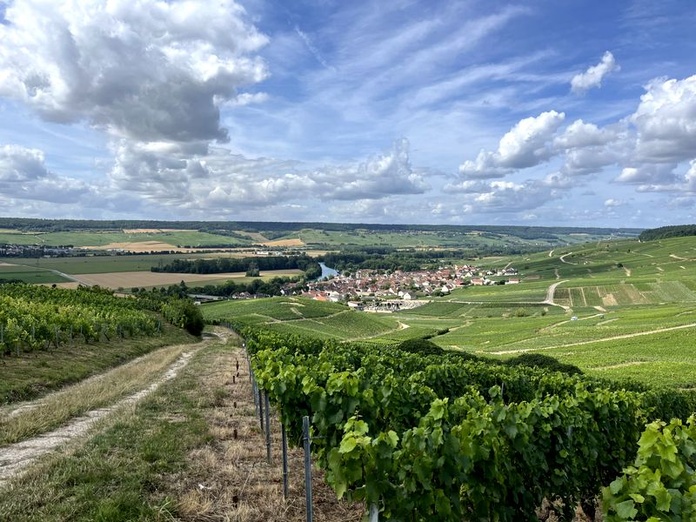Sur les deux rives de la Marne, les vignes sont partout (© PB) Sur les deux rives de la Marne, les vignes sont partout (© PB)