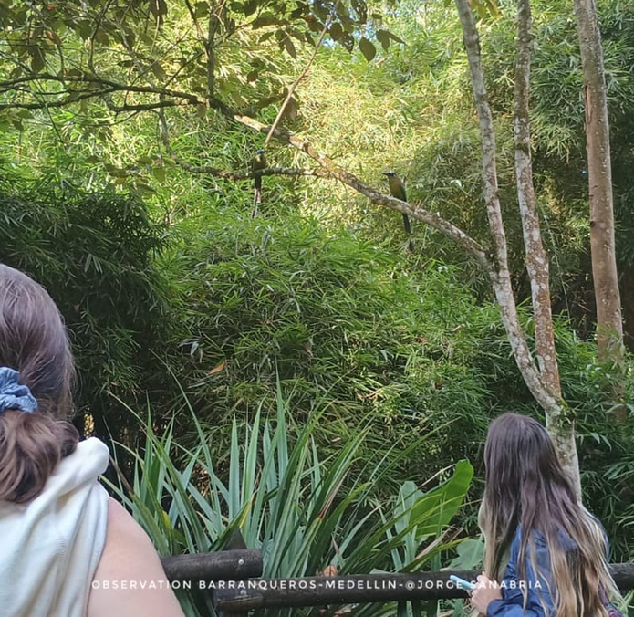 Observation barranqueros - Medellin © Jorge Sanabria Observation barranqueros - Medellin © Jorge Sanabria
