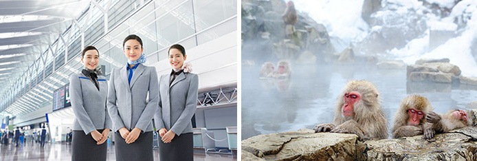 Agents d’accueil ANA à l’aéroport de Tokyo Haneda © ANA - Singes des neiges dans un onsen © GettyImages