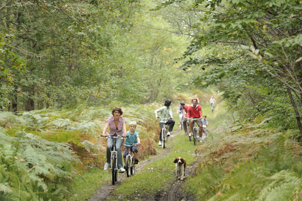 Biking in the forrest (Photo: Oise Tourisme, Jean-Pierre Gilson)