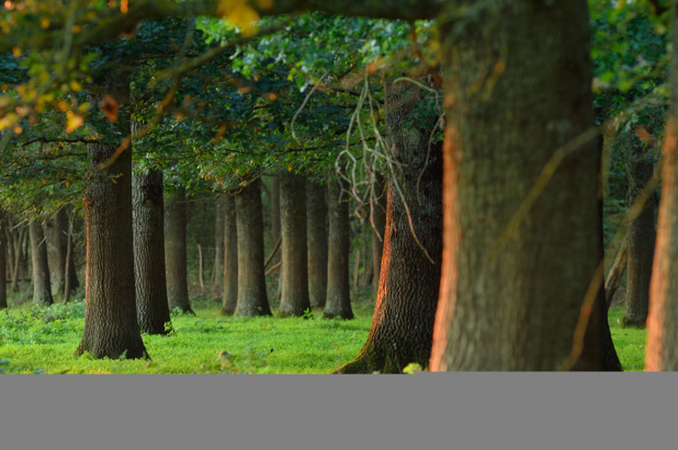 Center-Val de Loire: Discover the Loire river and its region by bike