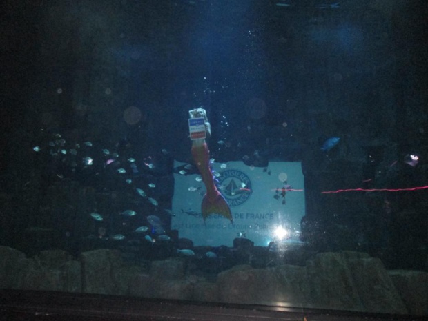 Croisières de France a privatisé l'Aquarium de Paris pour ses clients agents de voyages. Au programme, une féérie aquatique avec une sirène "pour de vrai". Photo MS.