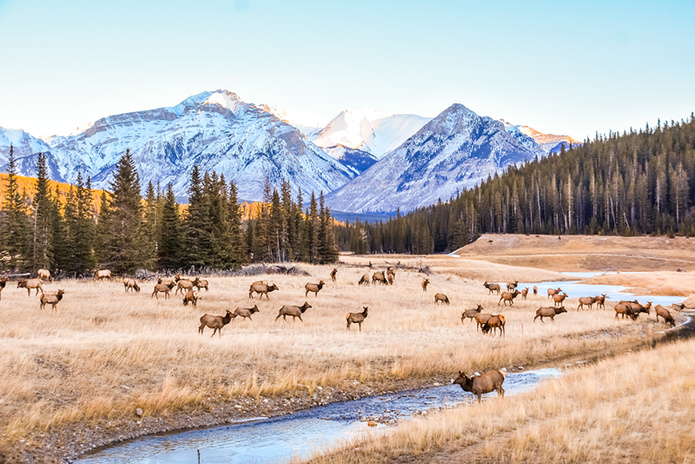 © Travel Alberta © Travel Alberta