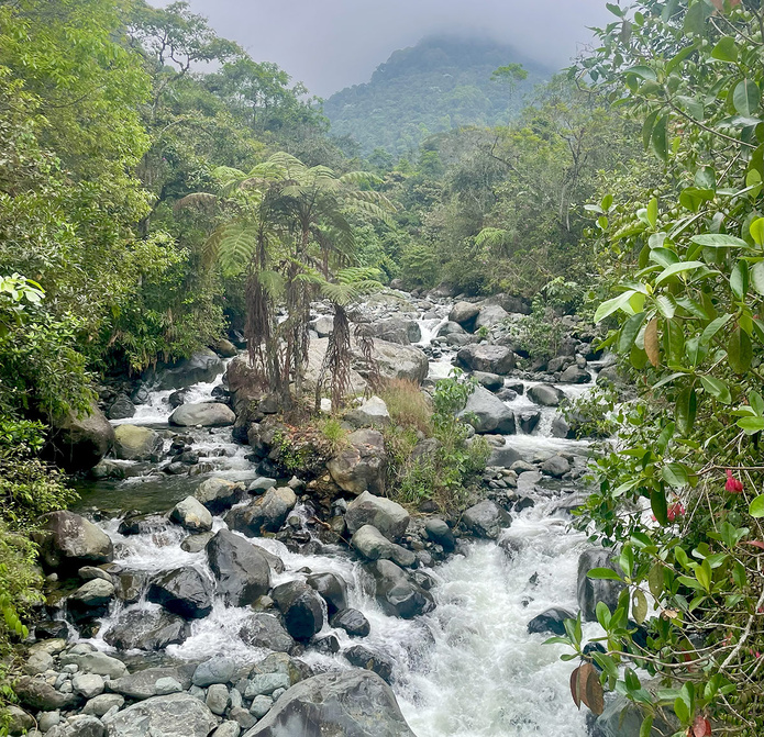 Rio Pancé © Marianne Jagu Rio Pancé © Marianne Jagu