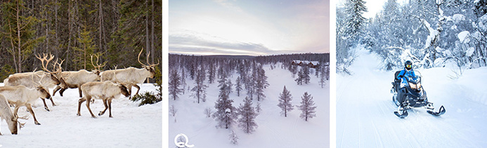 © Canva Quartier Libre © Canva Quartier Libre