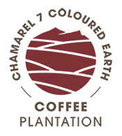 Le Coffee Tour de Chamarel, une expérience sensorielle au cœur des Terres des Sept Couleurs