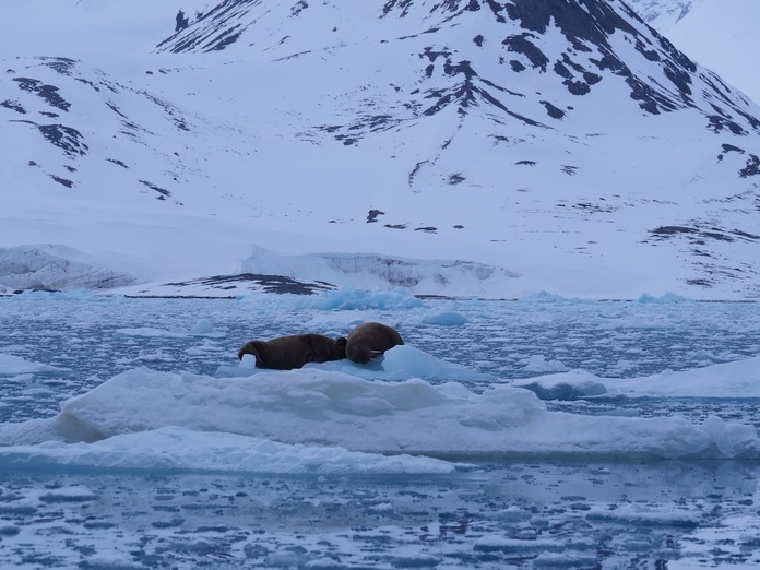 HX préfère parler "d'expéditions" plutôt que de "croisières" - Photo : Amélia Brille HX préfère parler "d'expéditions" plutôt que de "croisières" - Photo : Amélia Brille