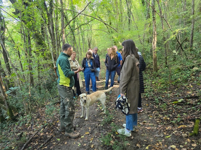 Chasse à la truffe à Paladini - Photo CE Chasse à la truffe à Paladini - Photo CE