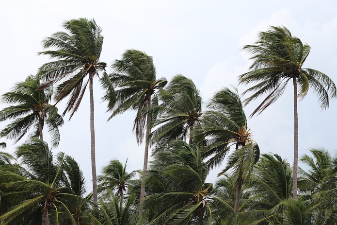 Vigilance maximale en Guadeloupe face à la tempête tropicale Jerry - Depositphotos.com, @momentumts80.gmail.com Vigilance maximale en Guadeloupe face à la tempête tropicale Jerry - Depositphotos.com, @momentumts80.gmail.com