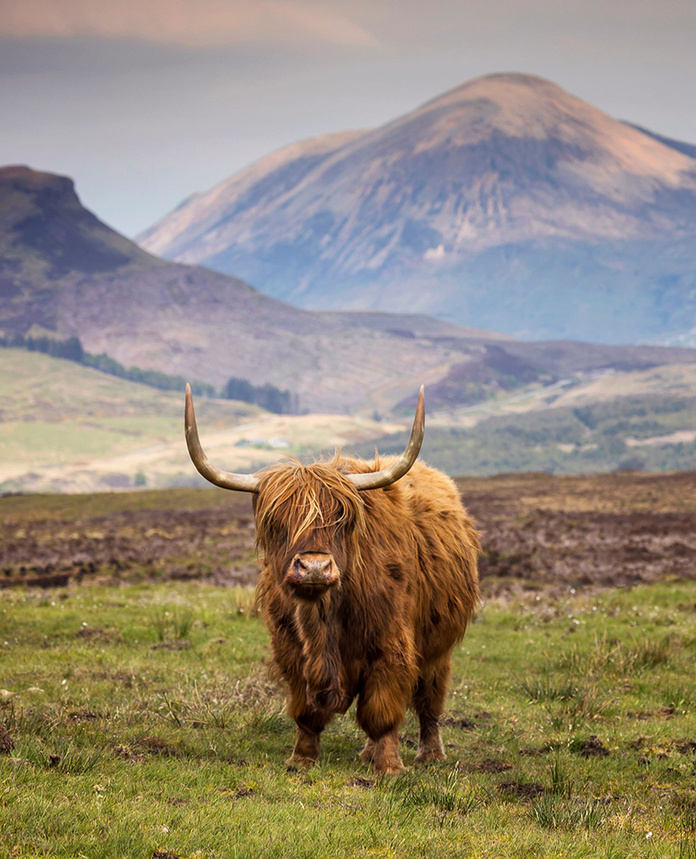 © Visit Scotland