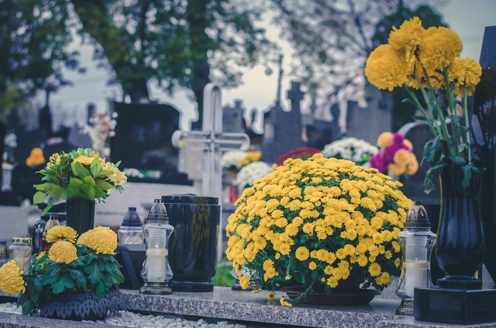 En Europe, et notamment en France, le chrysanthème est principalement associée à la mort et au deuil - DepositPhotos.com, KatarinaGondova En Europe, et notamment en France, le chrysanthème est principalement associée à la mort et au deuil - DepositPhotos.com, KatarinaGondova
