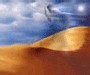 Expedia.fr : les Français cherchent le soleil et l’exotisme pour Noël Expedia.fr : les Français cherchent le soleil et l’exotisme pour Noël