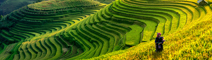 © Freepik © Freepik