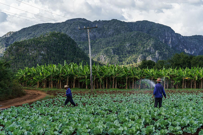 © Caraïbes Autrement