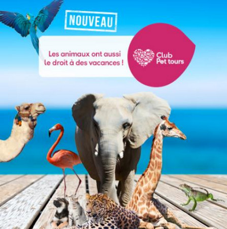 Club Pet tours : Jet tours lance son Club dédié aux animaux de compagnie