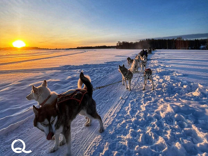 © Quartier Libre © Quartier Libre