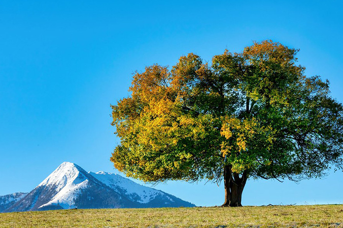 Le massif du Cagire © Manuel Huynh Le massif du Cagire © Manuel Huynh