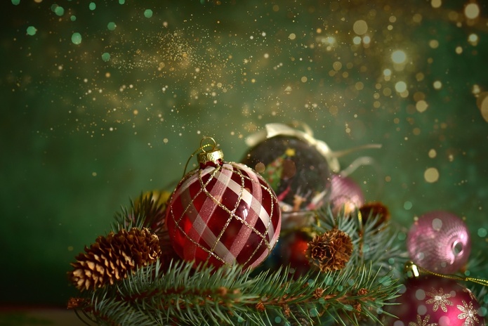 Noël s’invite dans les parcs d'attractions, découvrez le programme ! - Depositphotos.com, bonsaitree