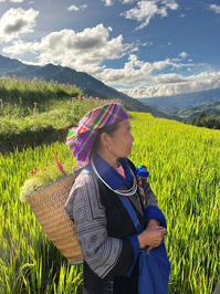 © DTH Travel © DTH Travel