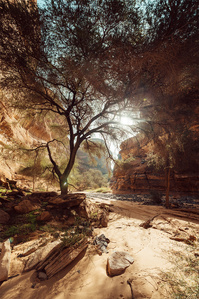 © Credit Royal Commission for AlUla © Credit Royal Commission for AlUla