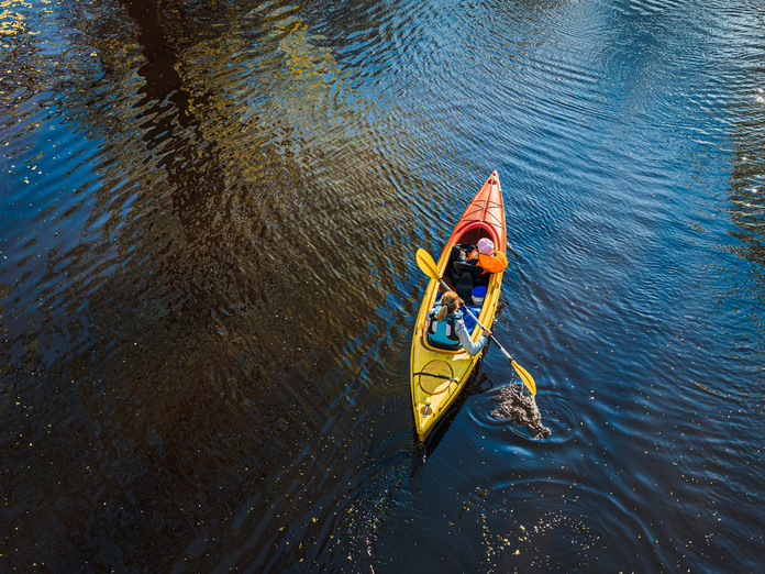 © wirestoc / Freepik © wirestoc / Freepik