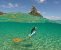 Fernando de Nornha © fabidesanctis © noronhadobreno Fernando de Nornha © fabidesanctis © noronhadobreno