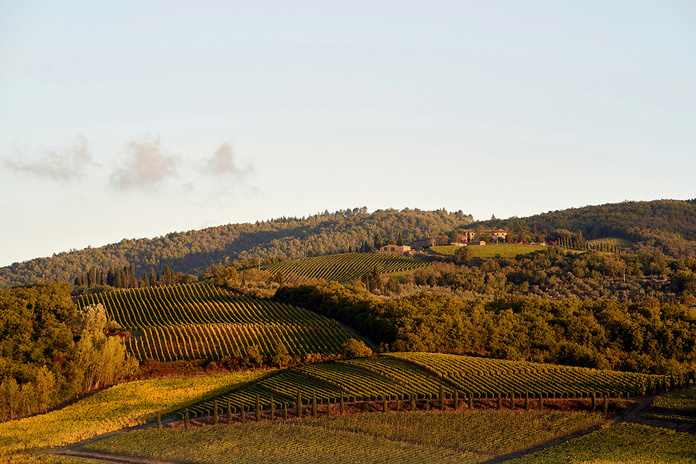 © wolfgang_hasselmann / Unsplash © wolfgang_hasselmann / Unsplash