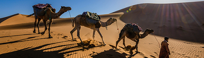 © Unsplash - Sergey Pesterev © Unsplash - Sergey Pesterev