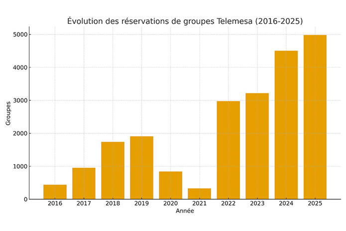 © Telemesa © Telemesa