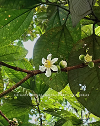 Rio Santo Domingo © Irène Robles Rio Santo Domingo © Irène Robles