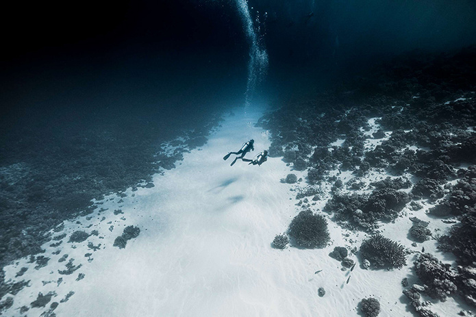 © Alexandre Voyer © Alexandre Voyer