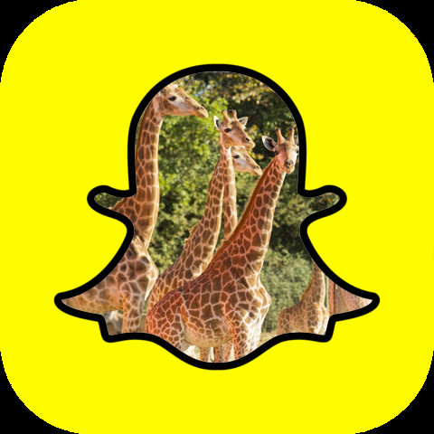 Le parc Planète Sauvage se met à Snapchat