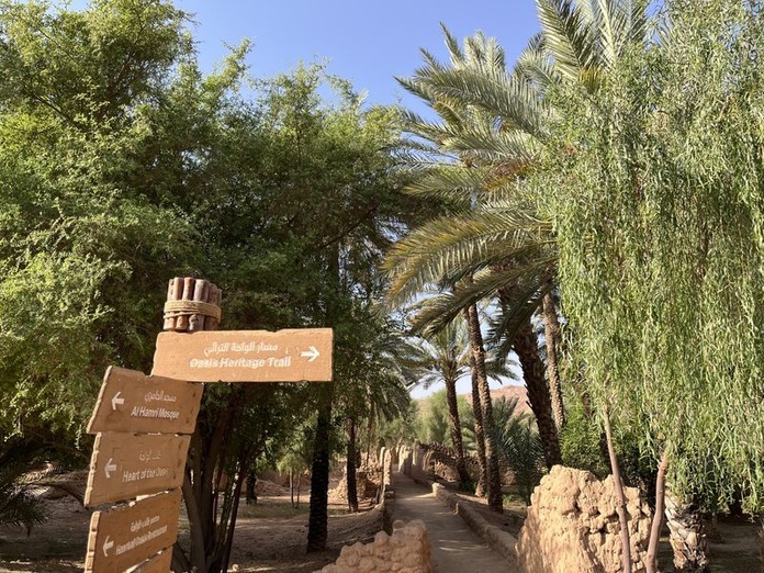 Un sentier balisé permet de découvrir les plus beaux coins de la palmeraie où sont menées xes campagne de replantation d'arbres. Photo : PB