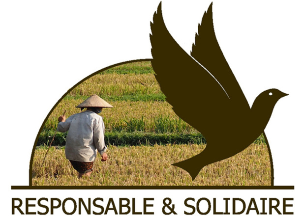 Le séjour Rensponsable et Solidaire en Inde emmène les voyageurs au Rajasthan - DR Le séjour Rensponsable et Solidaire en Inde emmène les voyageurs au Rajasthan - DR